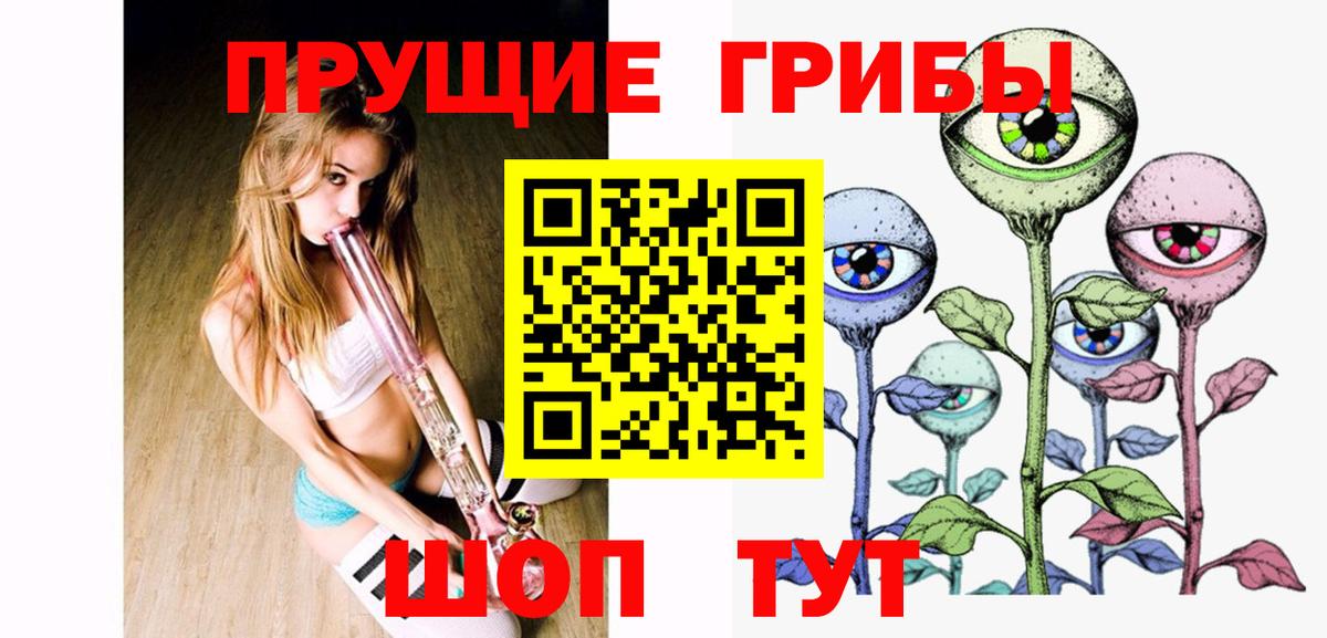 Сланцы  купить закладку  Вход с VPN  Галлюциногенные грибы мухоморы 