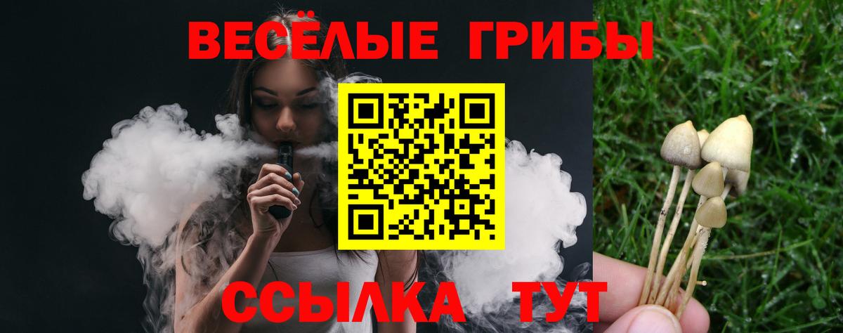 Галлюциногенные грибы прущие грибы Сланцы